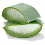 Aloe_Vera_Blattstuecke [ ende]